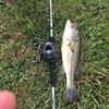peyton_waddell