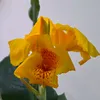 gauchigauem0629