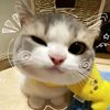 nurin.1117