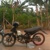 aktor.sawit575