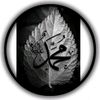 804ismailking