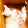 raja_jee_1122