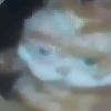 clgvrse0022