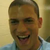 michael.scofield5378