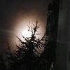 ddurass_elif