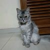 user1525786198165