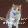 xllqsv