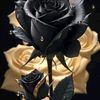 user1533152478614