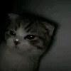 mocha_choca0
