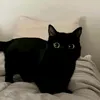 ttta_mak9