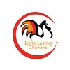 Little Laying Chickens Shop
