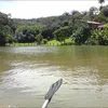 luiz.carlos7013