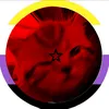 moon._nicky._