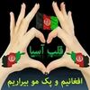 user81483810245432