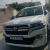 mzginbradosty333