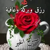 yamina1826