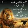 user7263625493005