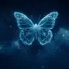 user2708181186239