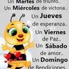 memoguillermo.ara