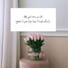 all60ll3