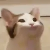 goodusername004