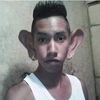 elmocha.orejas
