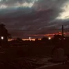 77_lionela