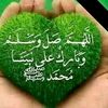 user2449918734207