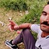 el.moustache1