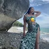 vanessa.ver8