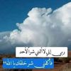 user8087331481356