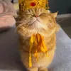 Tạp Hoá Cừu Và Nai