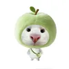 _catmeo
