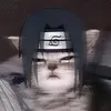 imacatdumass
