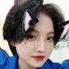 naa66655