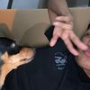 diegopsg4