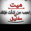 bashar8746