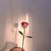 joe868236