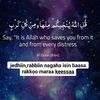 user86816140468524