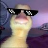duckie8038