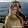 hmquan11