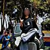 awili74