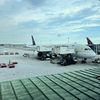 aviationquote