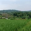 slamet.rianto534
