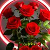 raja.shaikh688