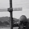 n019938