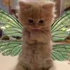 4321cute.sun.flower1234