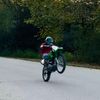 dylan__v1