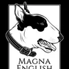 magnaenglishbullt
