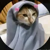 hajar.lachhab80